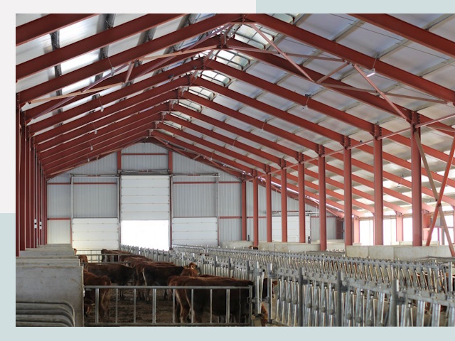 Строительство коровников в Кстове