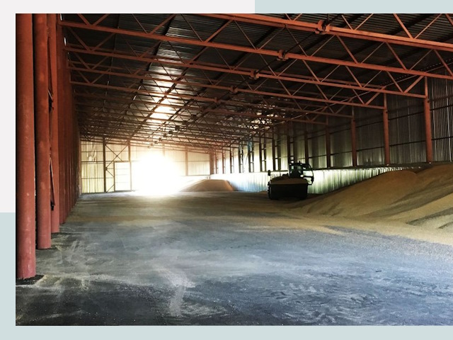 Строительство зернохранилищ в Кстове