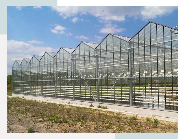 Строительство теплиц в Кстово от 611 руб. за м²