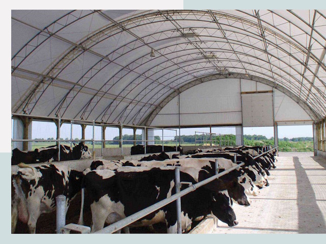 Тентовые коровники в Кстове